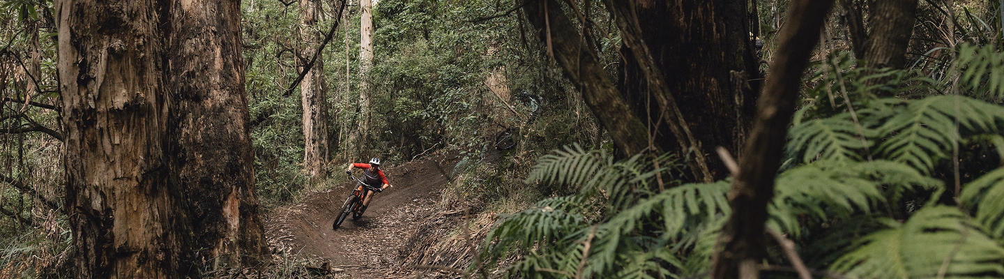 Trail Placeholder Image