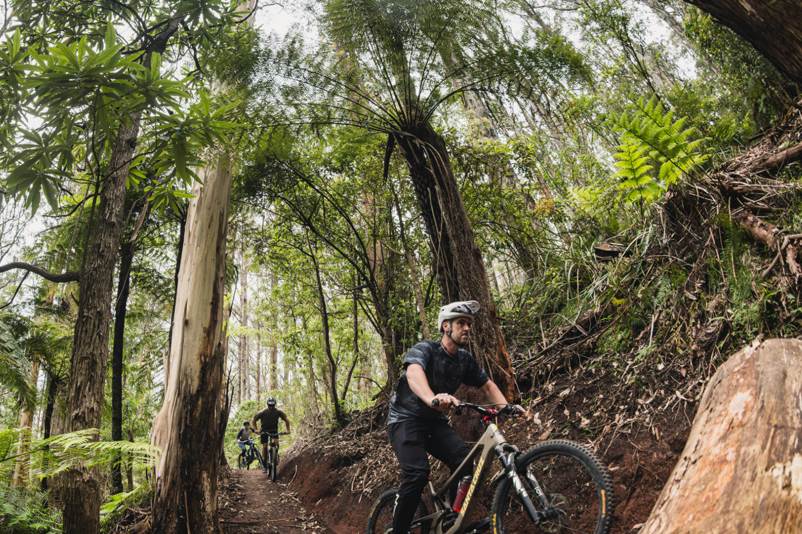 https://warburtonbikepark.preview.iddigital.com.au/app/uploads/2026/01/Gallery-images-2.png