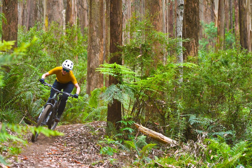 Our Trails