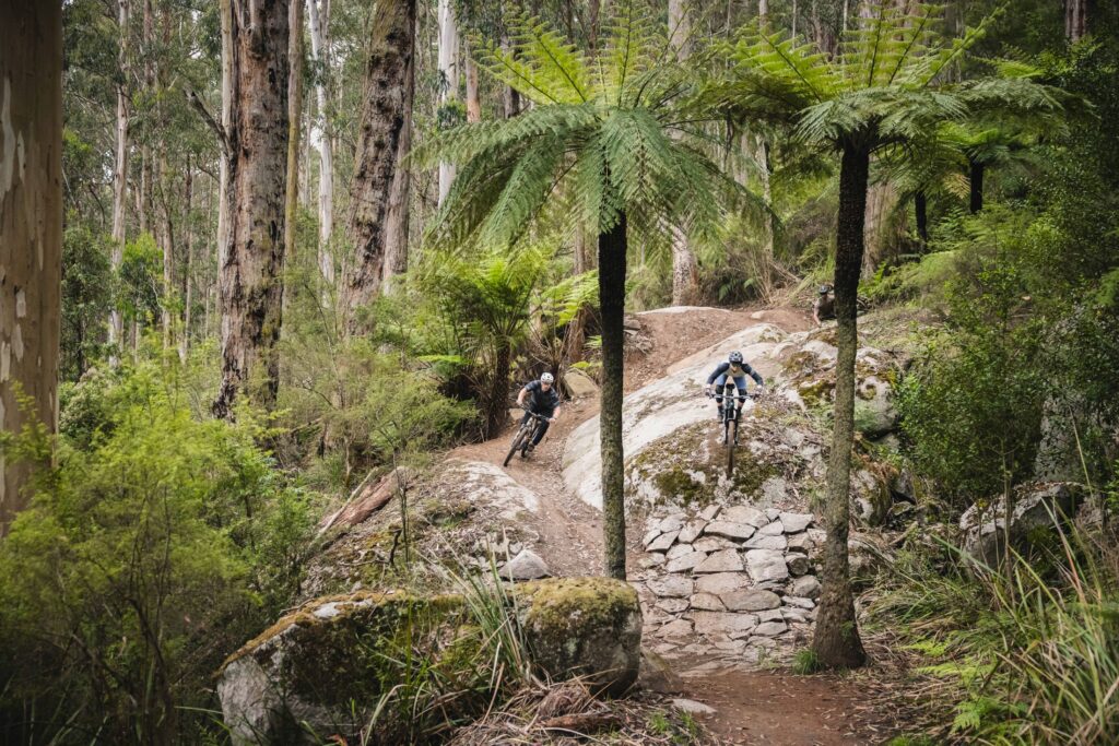 Up and Away – Shuttles launch at Warburton Bike Park